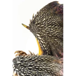 Monster Hunter World - Figurine Nergigante 1/26 PRÉCOMMANDE 30 Monster Hunter World - Figurine Nergigante 1/26 PRÉCOMMANDE -YUGEN COLLECTIBLES Soldes monster hunter world figurine nergigante 126 9