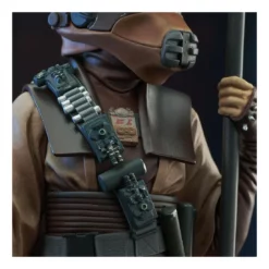 Gentle Giant Star Wars Épisode VI - Premier Collection - Figurine Leia Organa In Boussh Disguise 1/7 -YUGEN COLLECTIBLES Soldes star wars episode vi premier collection 17 leia organa in boussh disguise 11